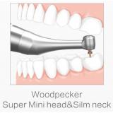 Woodpecker Dental Brushless Endo Motor MotoPex With Super Mini Head