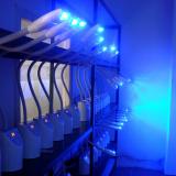 Dental Teeth Whitening Blue LED Bleaching System