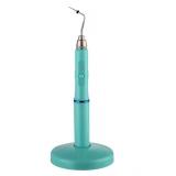 Dental Wireless Cordless Gutta Percha Obturation System Endo Heated Pen With 2 Tips