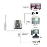 Dental Wired Intraoral Camera 1080P 12Pcs LED VGA&HDMI&WIFI