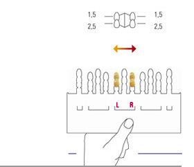 VITA Toothguide 3D Master With Bleached Shade Guide