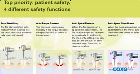 COXO Root Canal Endodontic Treatment With Apex Locator C-SMART-I+